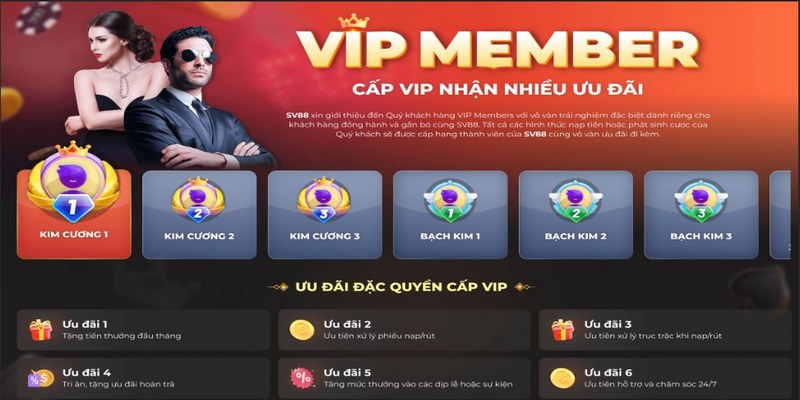 Quyền lợi của thành viên VIP